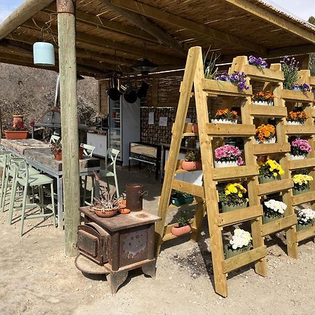 Carmey Avdat Farm Midreshet Ben Gurion Экстерьер фото
