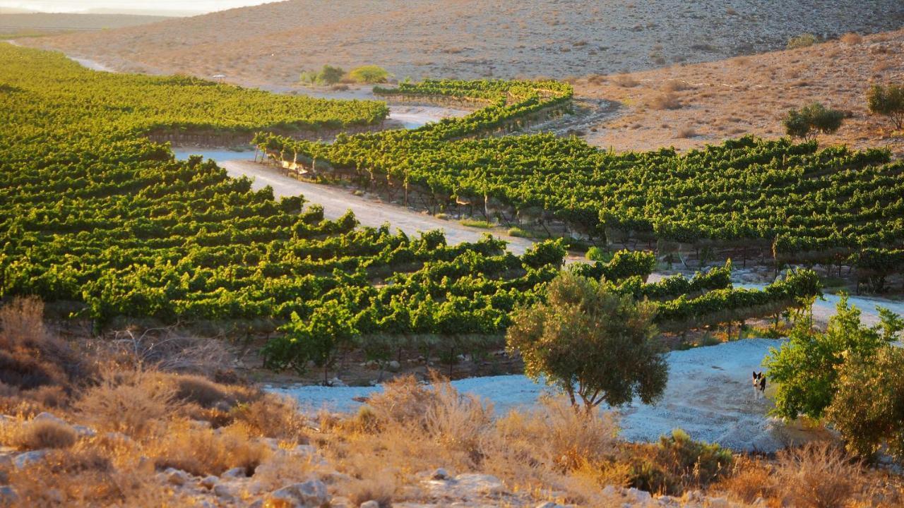 Carmey Avdat Farm Midreshet Ben Gurion Экстерьер фото
