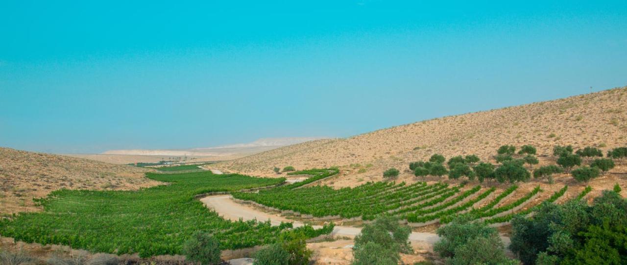 Carmey Avdat Farm Midreshet Ben Gurion Экстерьер фото